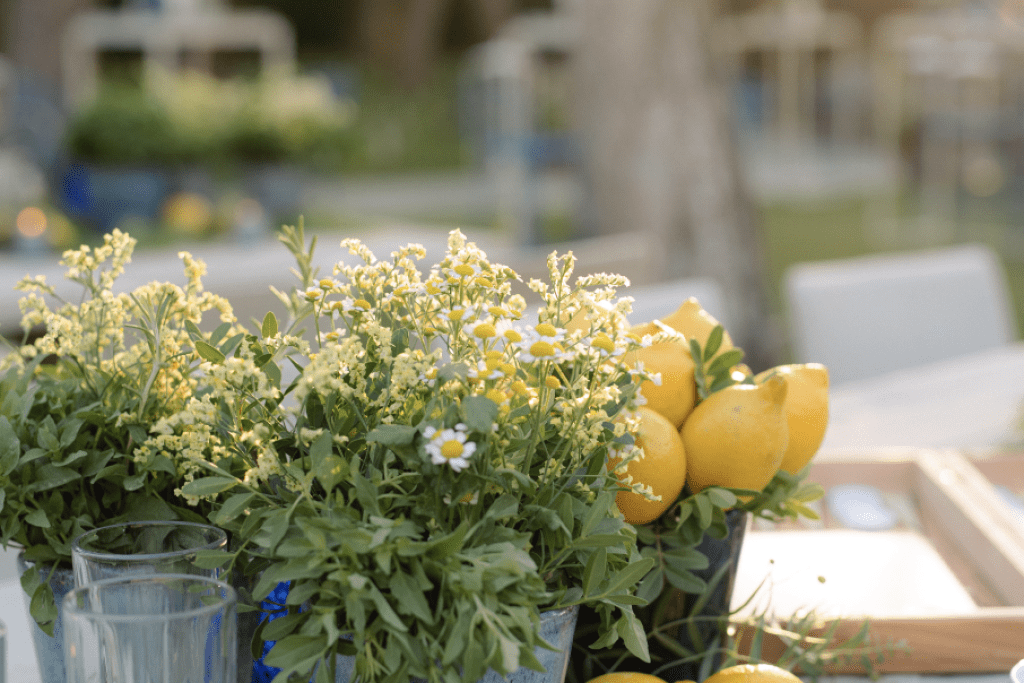 ILIOS Greek folk candle containers - Image 1